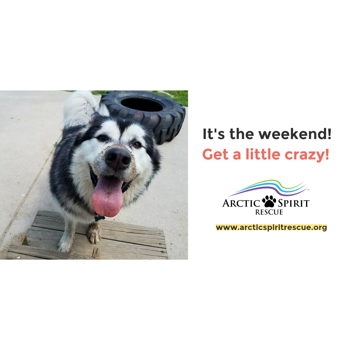 Arctic Spirit Rescue tweet media
