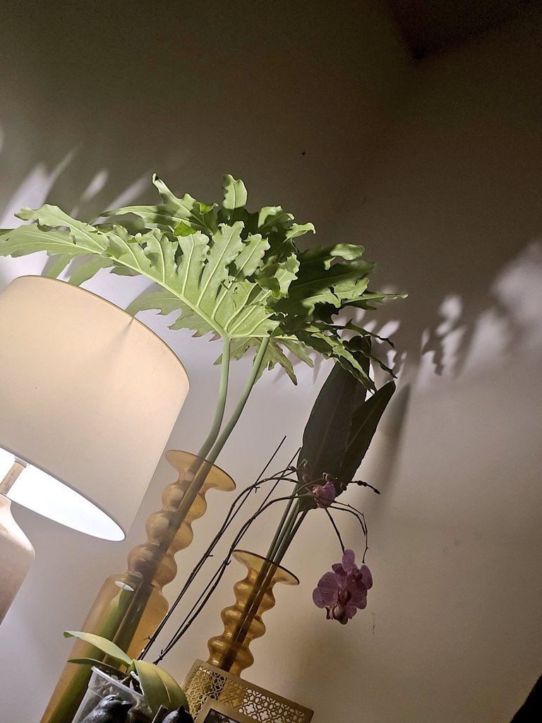 Chetna 💜 tweet media