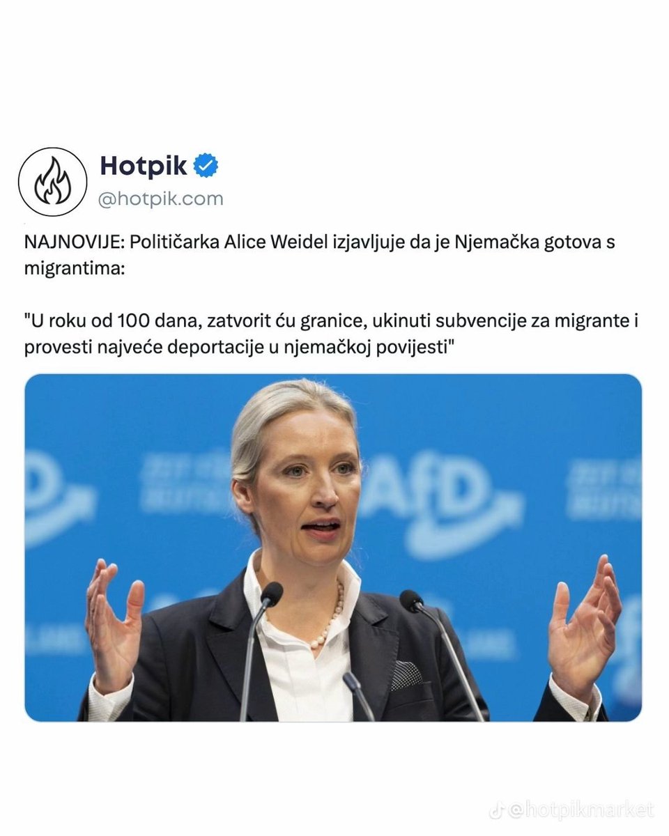 Александар Петровић Инфоратник tweet media