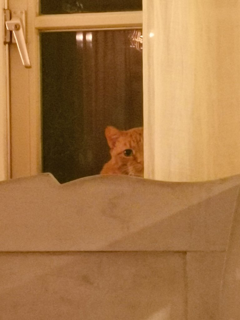 Anne Fleur Dekker tweet media