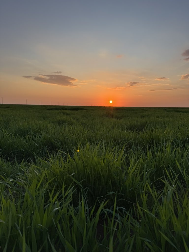 غروب الشمس
#سورية