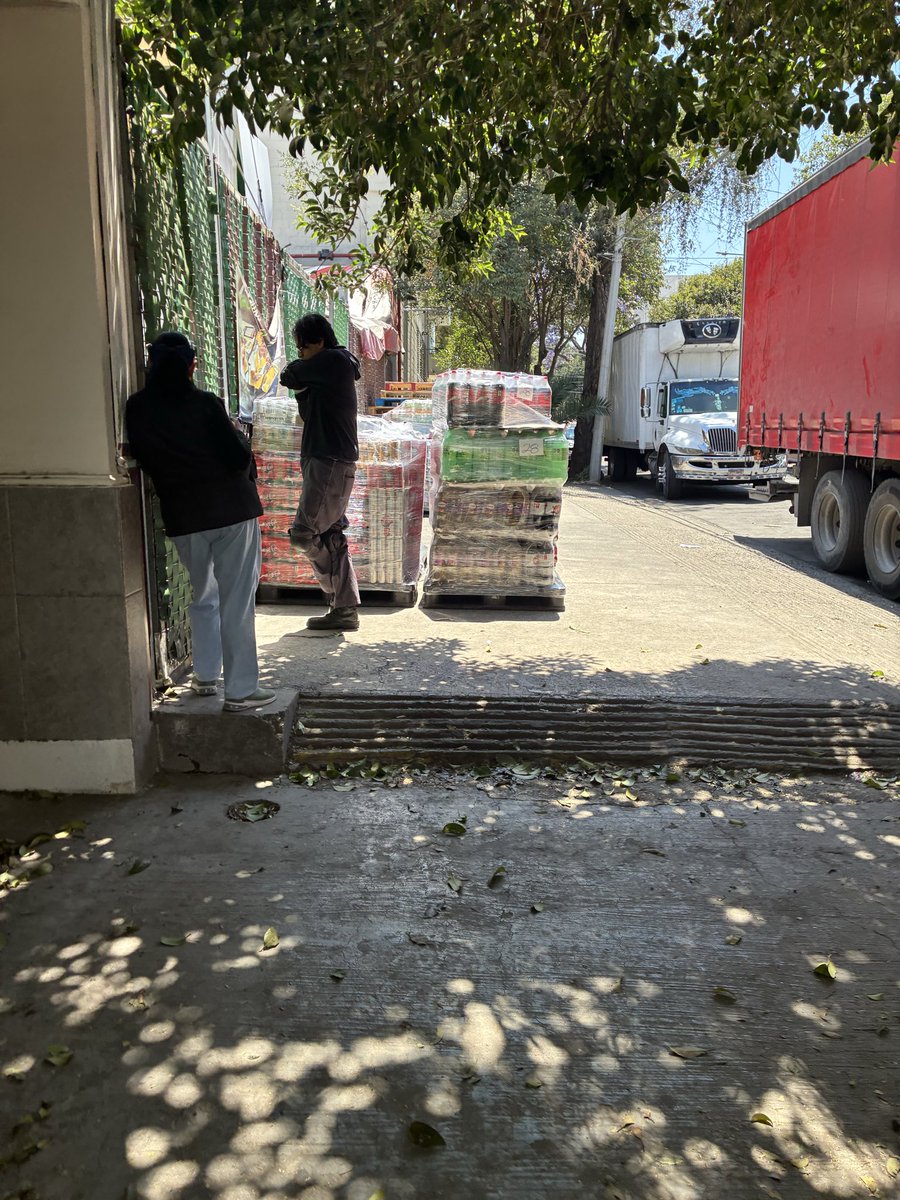 Alejandro tweet media