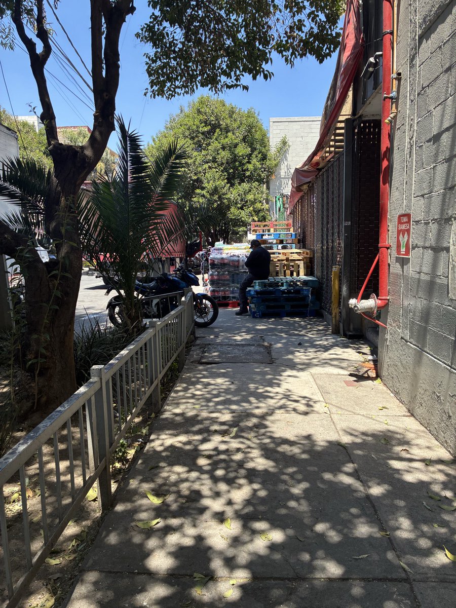 Alejandro tweet media