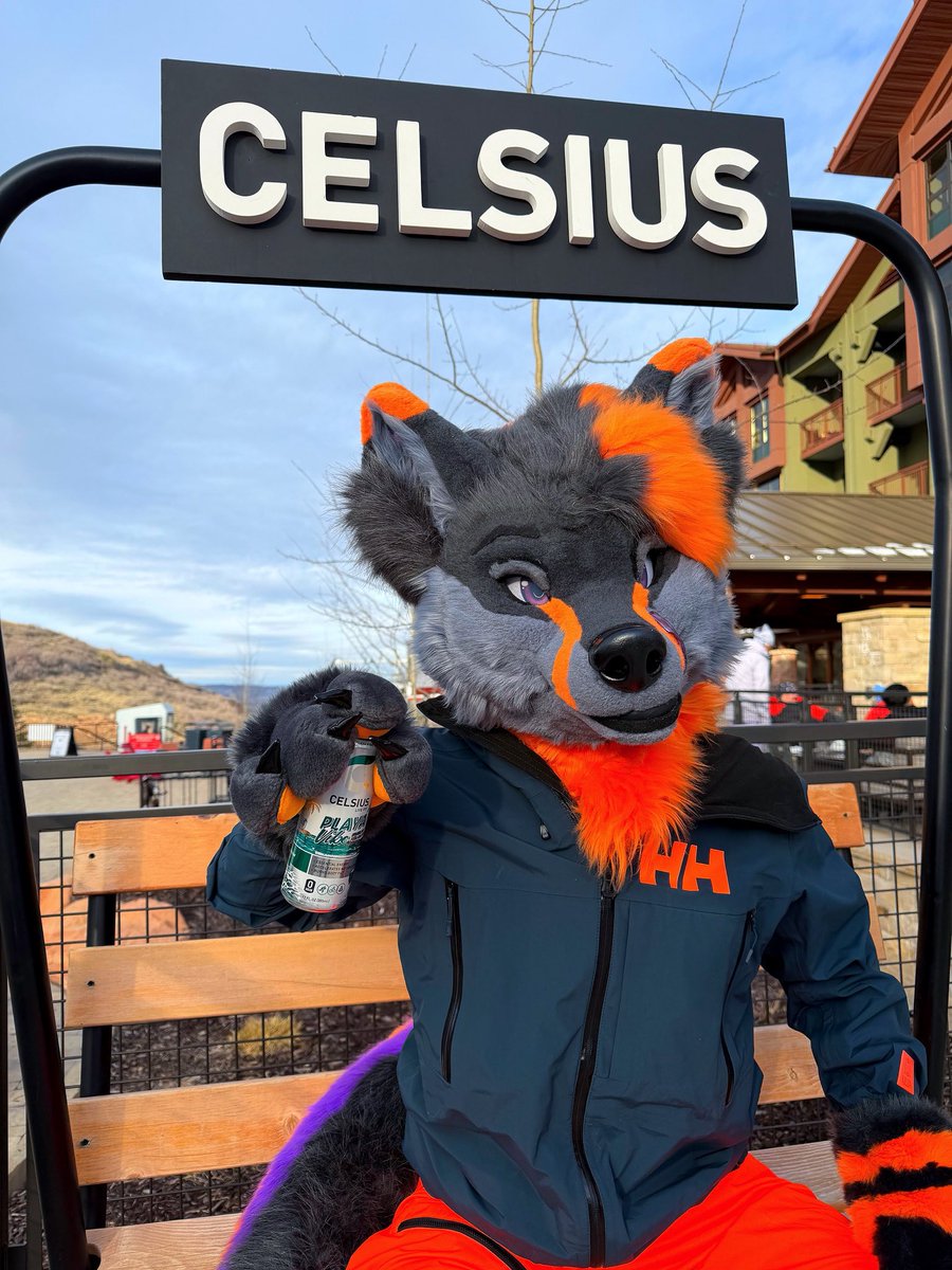 Pulse 🍊✨ tweet media