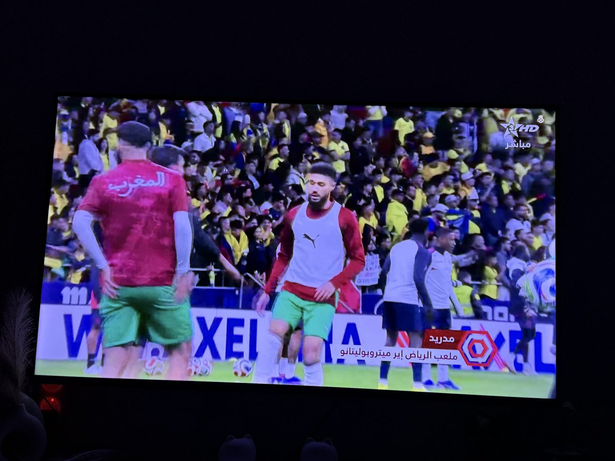 Suika ラミヤ ••• tweet media