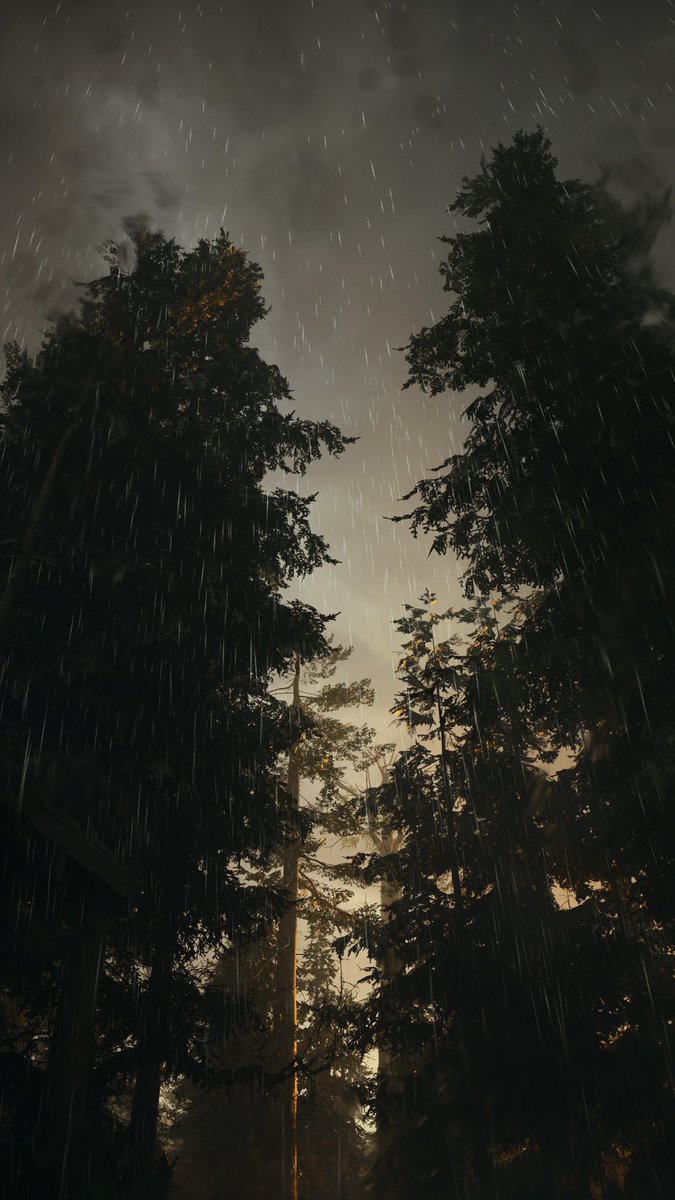 MattyGamingMDR tweet media