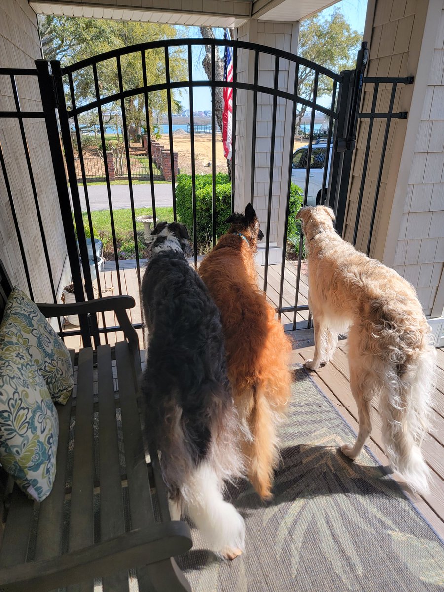 BigChubby6 aka Dr Poon tweet media