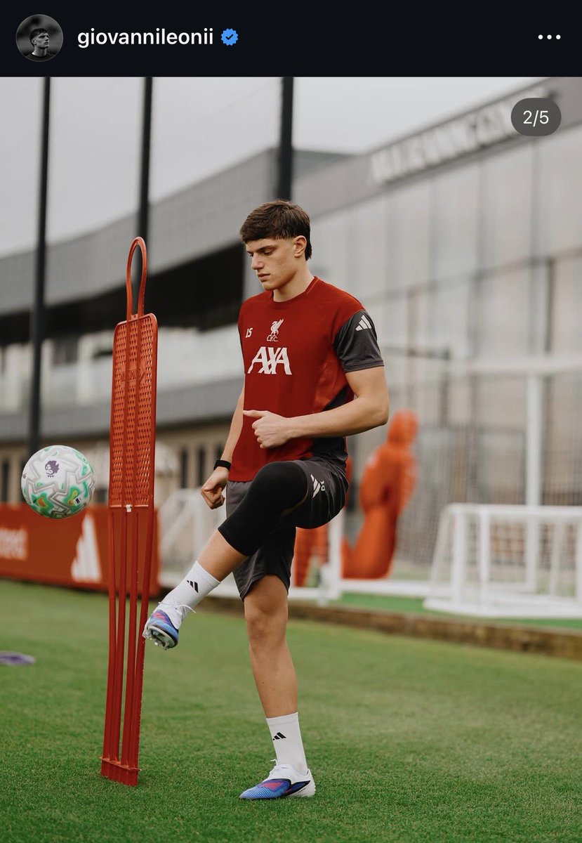 Braden (Fan) 🐦🔥 tweet media