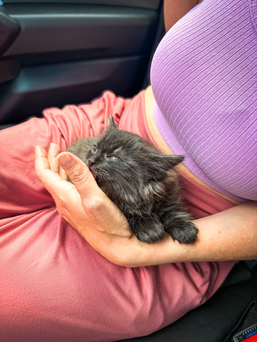 Jordan Crowder tweet media