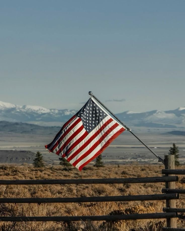 The Bull Moose Project tweet media