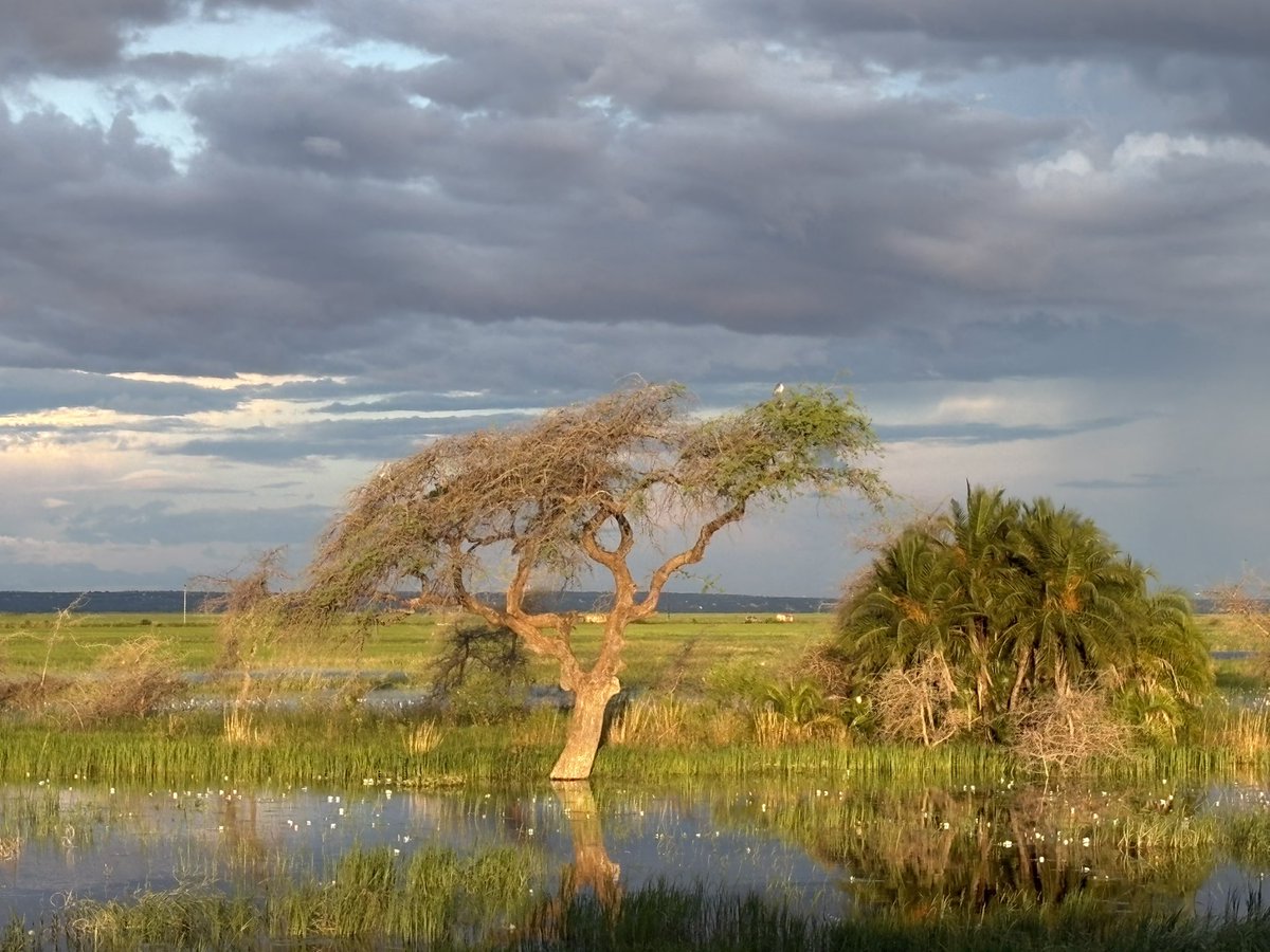 Rebecca Terzeon tweet media