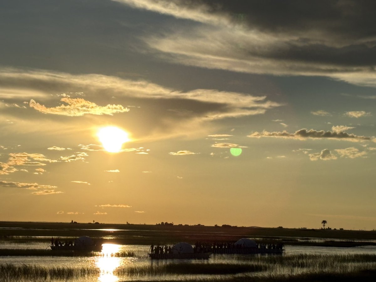 Rebecca Terzeon tweet media