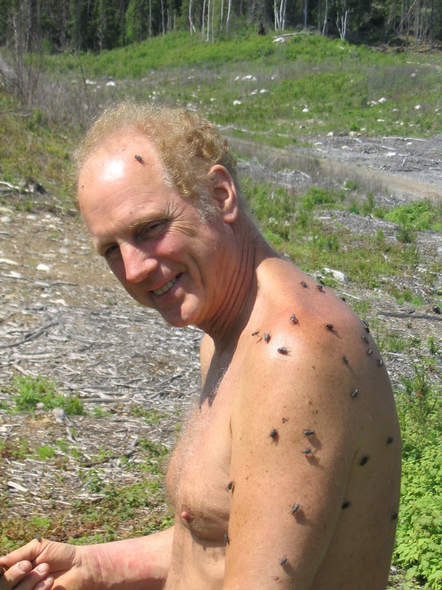 Feldwebel Wolfenstool tweet media