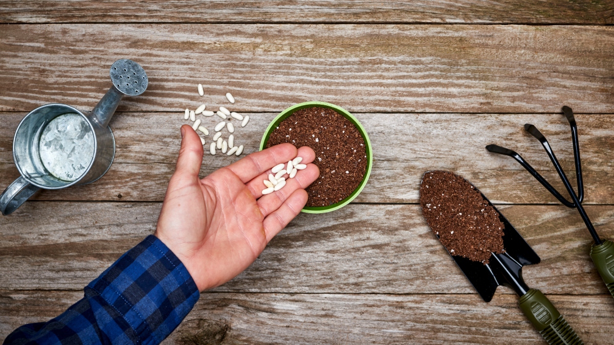 Menlo Park Library tweet media