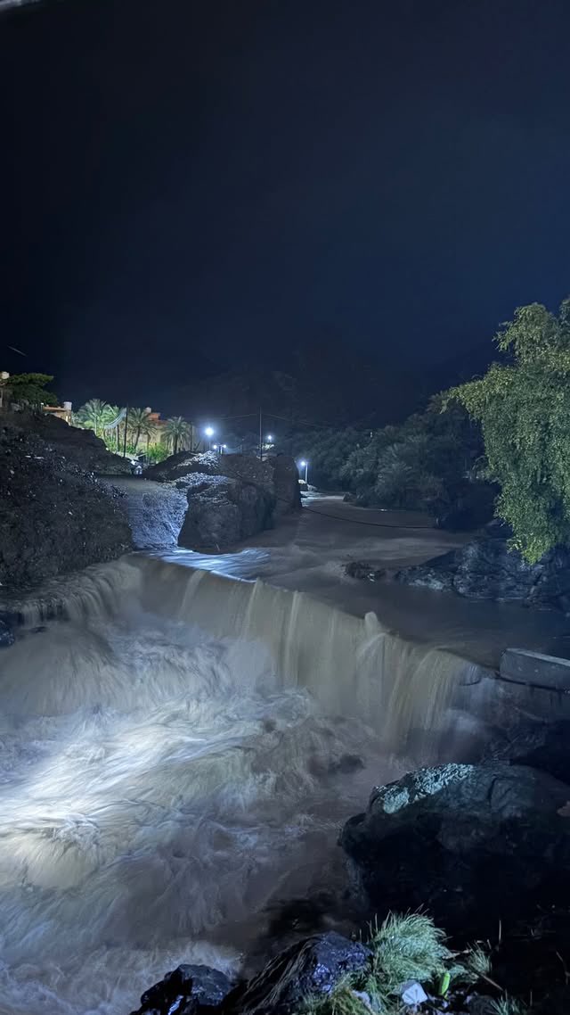 تهاني tweet media