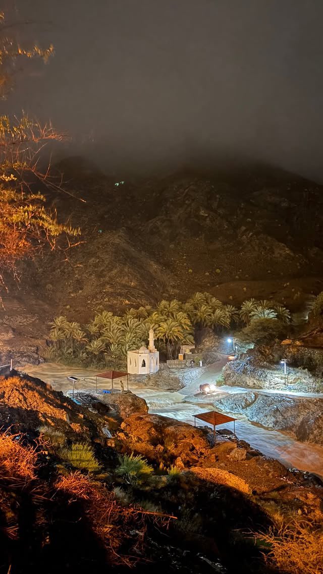 تهاني tweet media