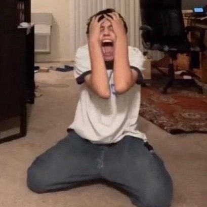 Wolves Lead tweet media