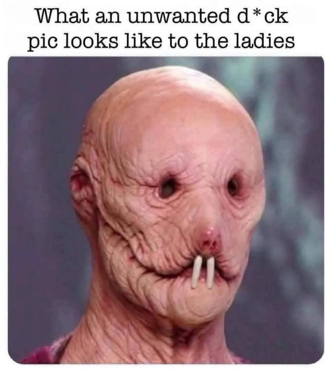 Spliffy Longstocking 🔥🌳💨 tweet media