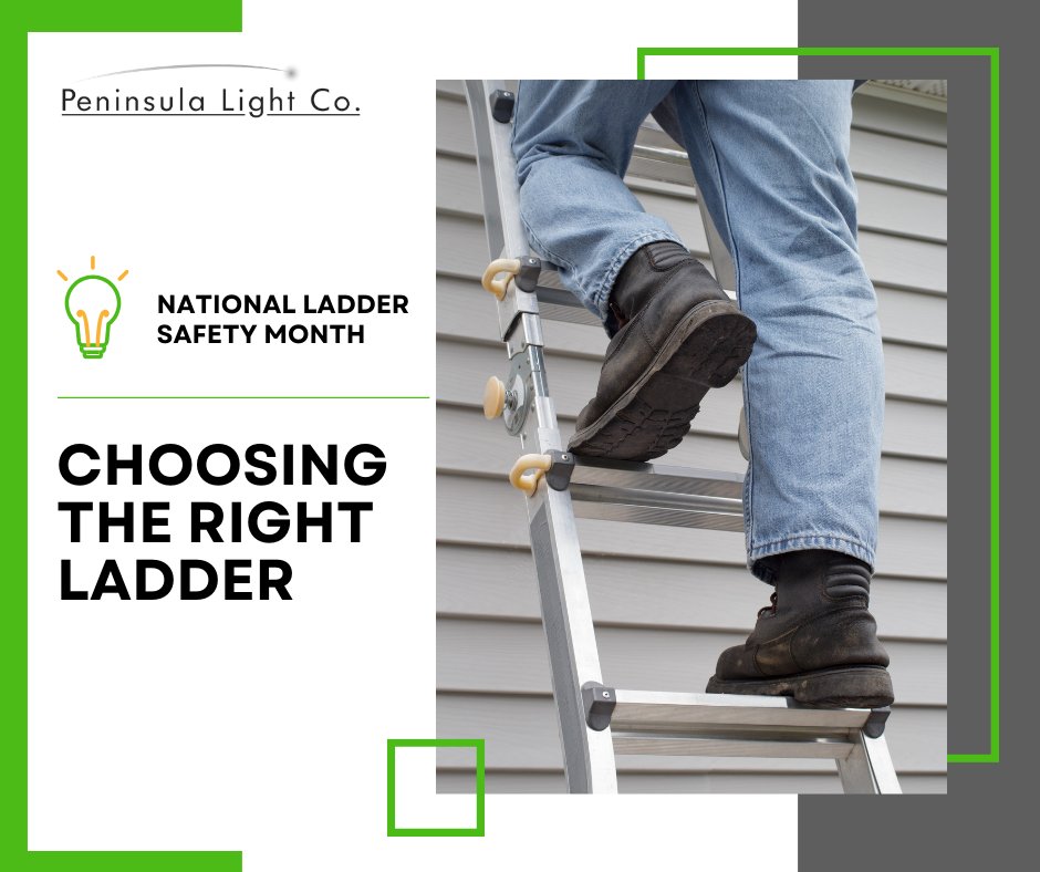 Peninsula Light Co. tweet media