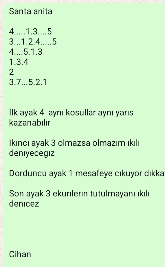 CihanSahin87's tweet photo. #santa 
#tjk
#yabancı
#atyarısı https://t.co/OpJasN5PZT