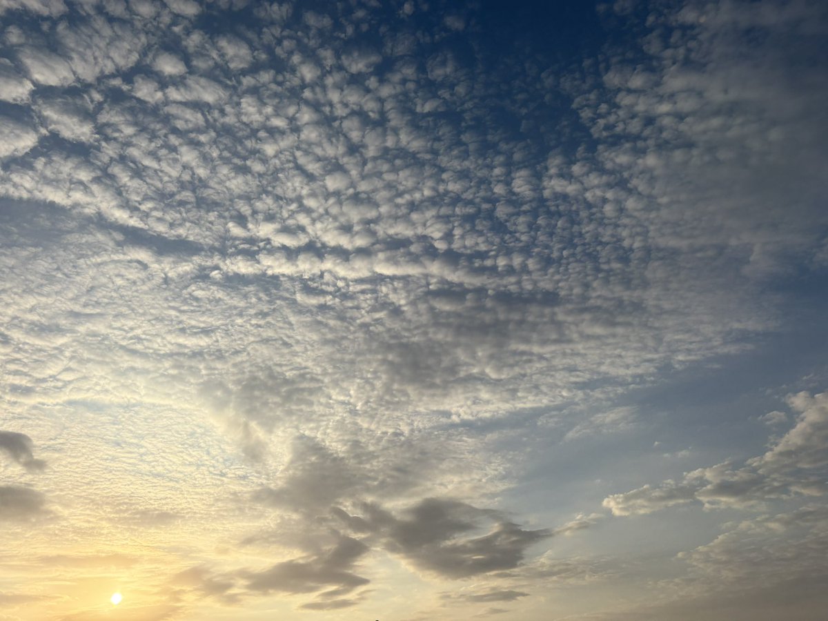 أَلِفْ. tweet media