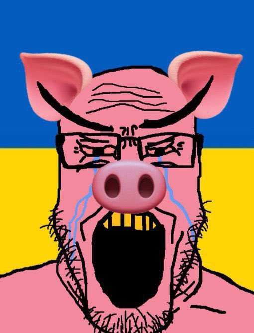 Русский Оккупант tweet media