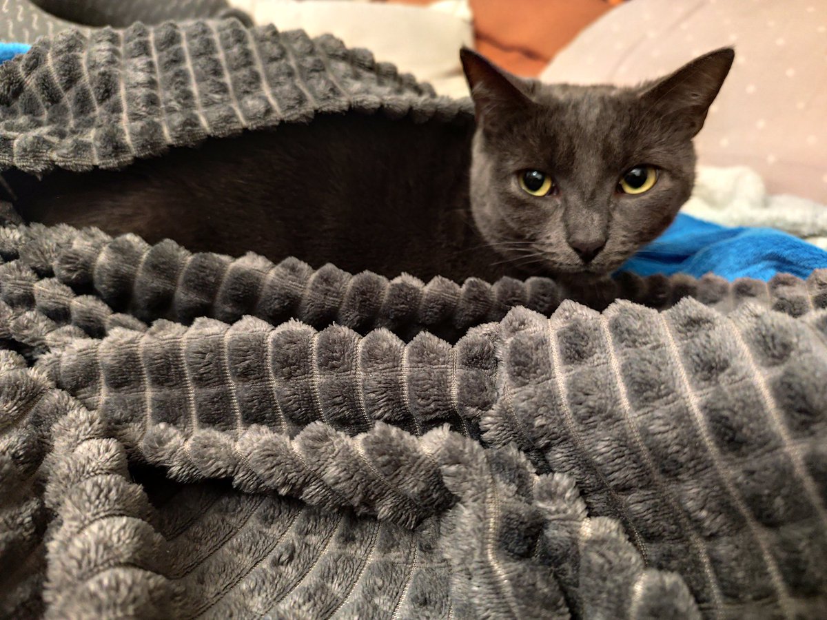 krapina number two tweet media