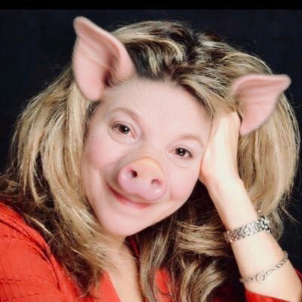 ProgressivePig tweet media