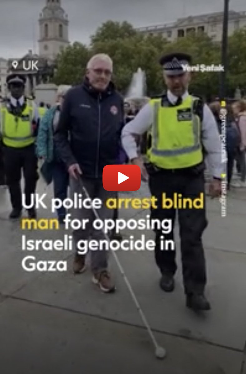 JulesDingle tweet media