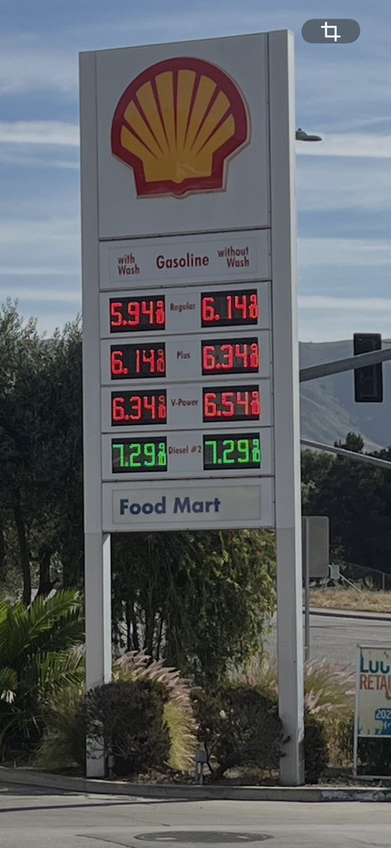 Katy Grimes tweet media