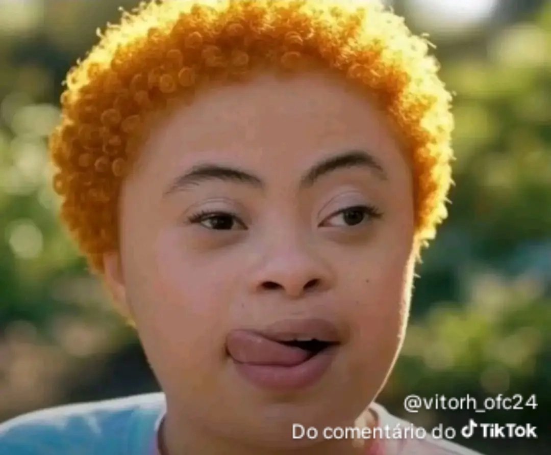 Gertrudes tweet media