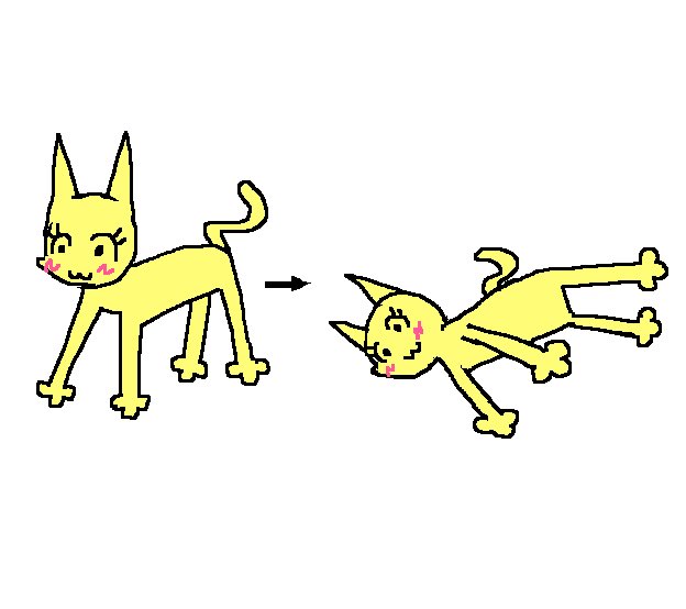 Shelley Zedkat tweet media