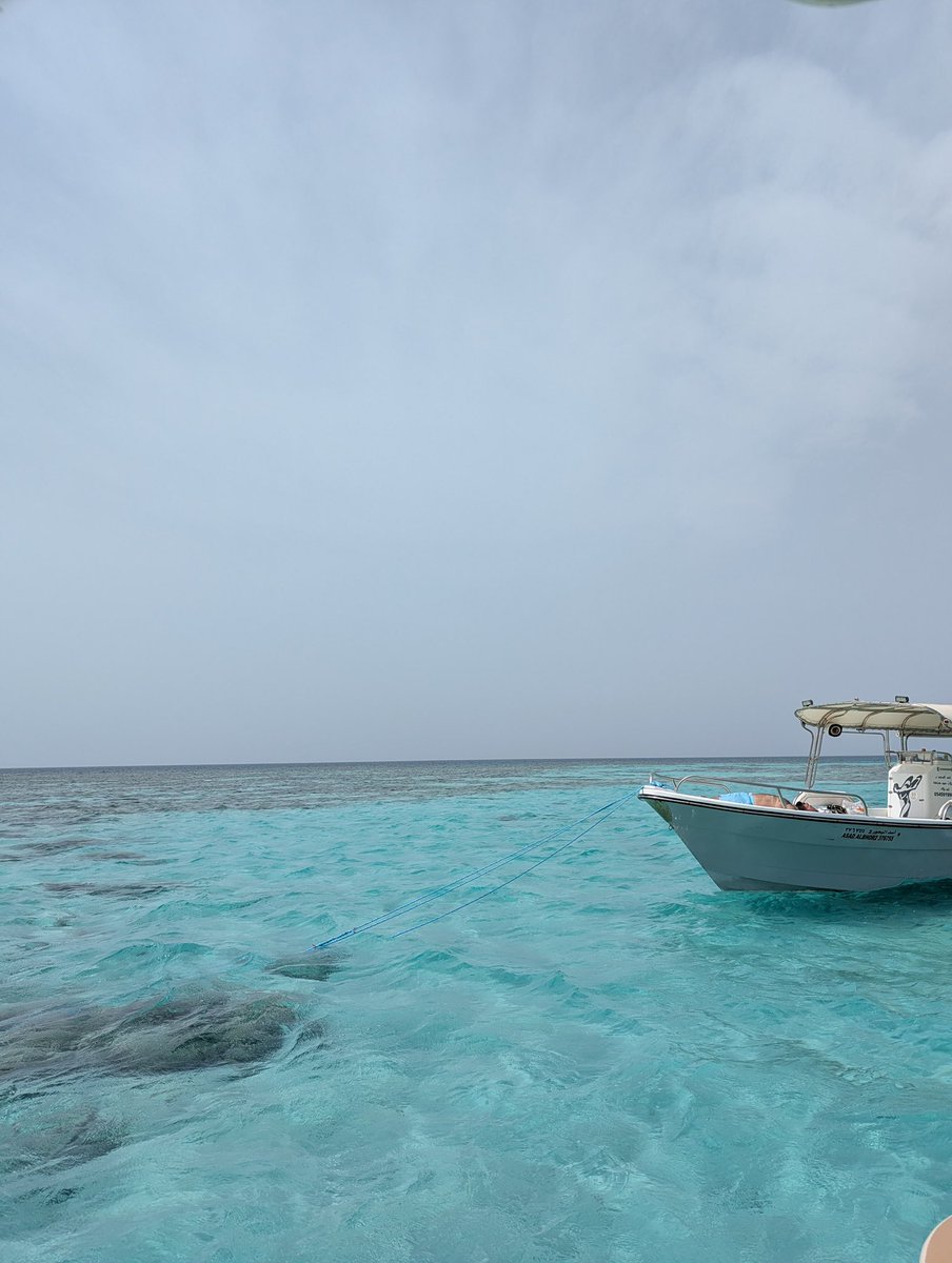 kyojin حمد بن ناصر tweet media