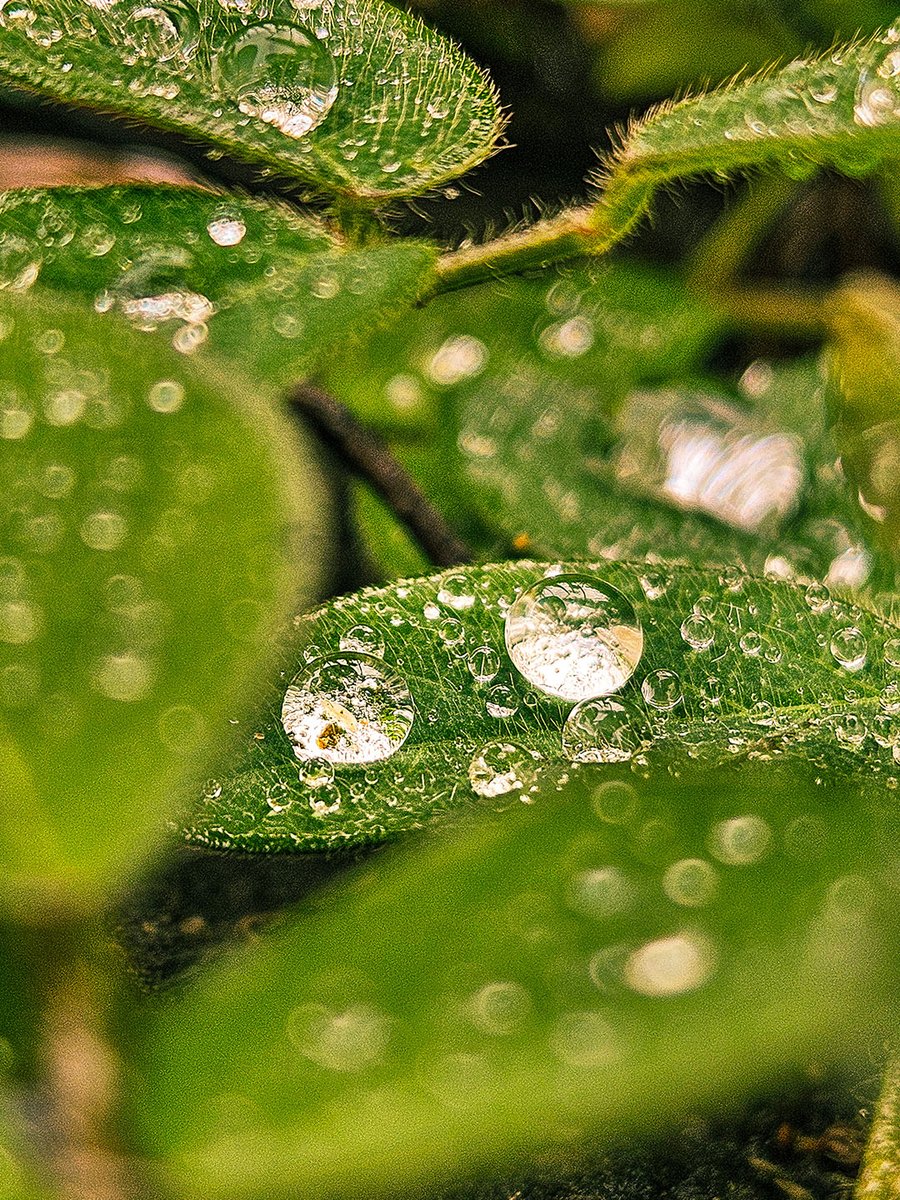 SamsungBrasil's tweet image. — Existe vida aqui. 🍃

#FeitoComGalaxy #withGalaxy