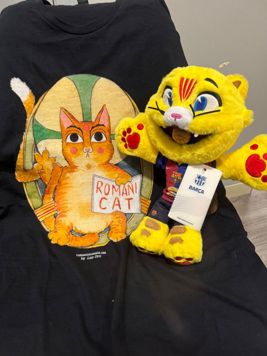 Romànic Català tweet media