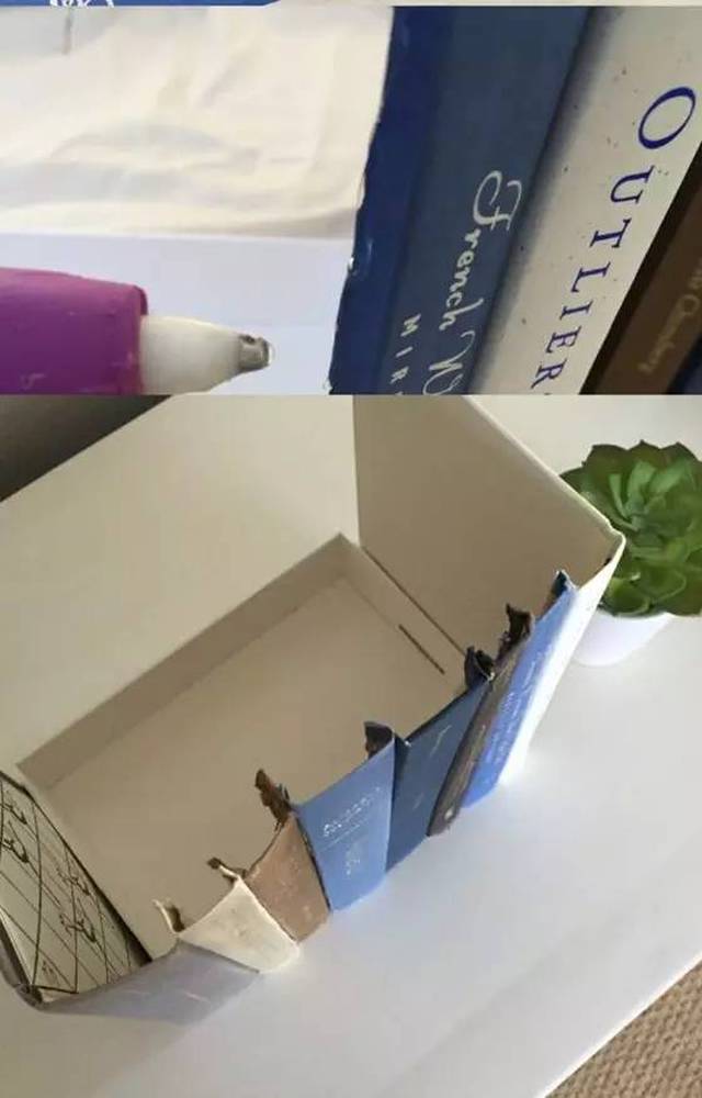 taylor stubblefield tweet media