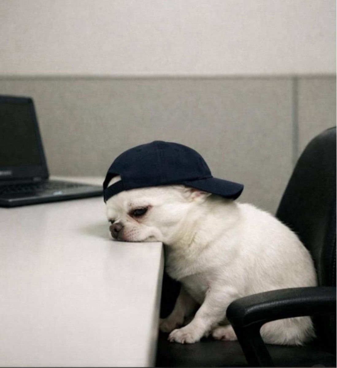 Ama-vera(Ugochukwu Chiamaka) tweet media