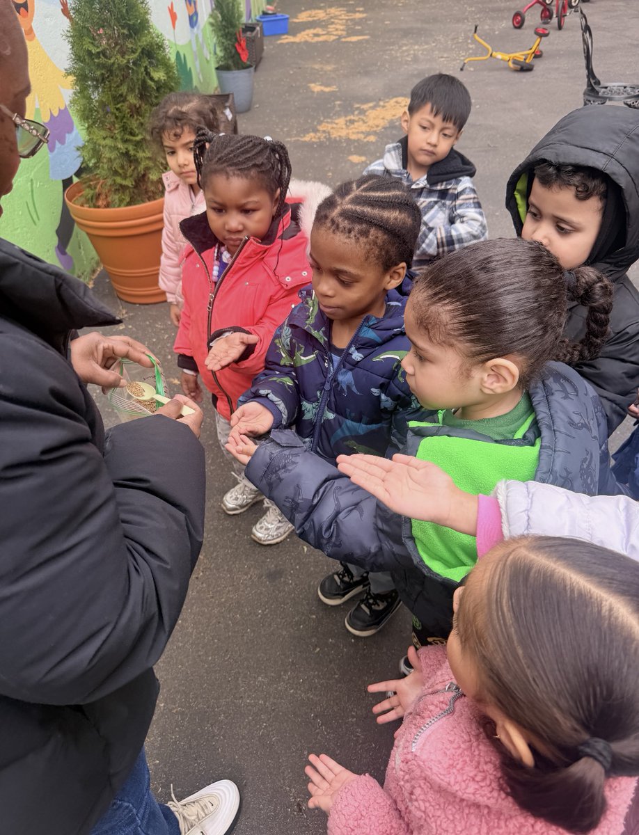 ps_greene's tweet photo. Yesterday we expanded our Hope Garden downstairs at our Pre-K wing. The students planted seeds yesterday in honor of Ms. Johnson's Birthday. Thank you Sustainability Team / Green Team. #InLovingMemory #GardenofHope 🌱🦋🪴🧑🌾 https://t.co/3IYWte4Yf9