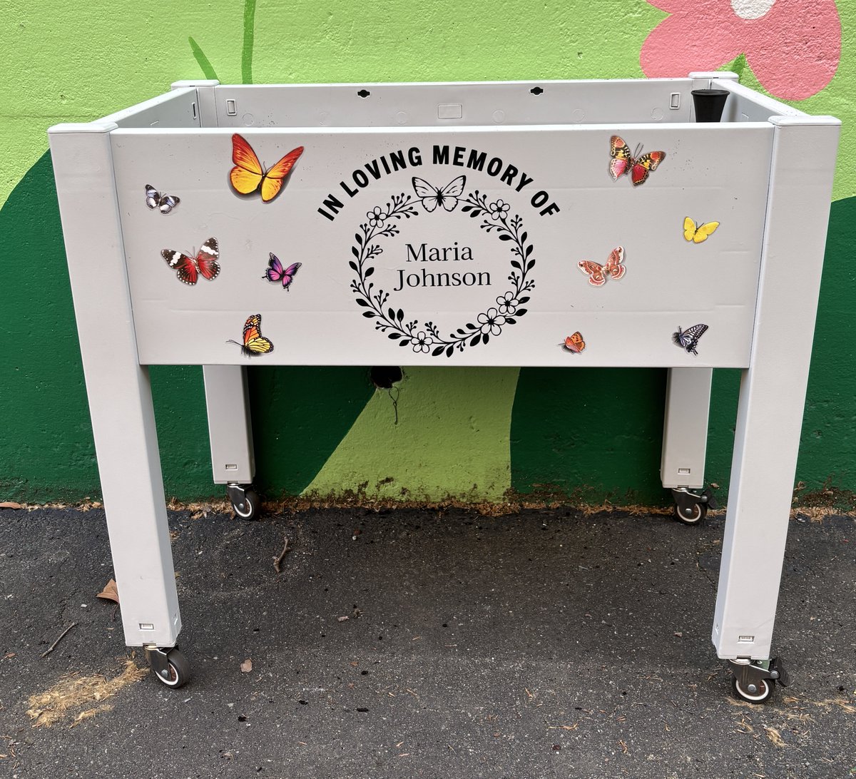 ps_greene's tweet photo. Yesterday we expanded our Hope Garden downstairs at our Pre-K wing. The students planted seeds yesterday in honor of Ms. Johnson's Birthday. Thank you Sustainability Team / Green Team. #InLovingMemory #GardenofHope 🌱🦋🪴🧑🌾 https://t.co/3IYWte4Yf9