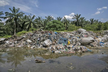 Jabalina tweet media