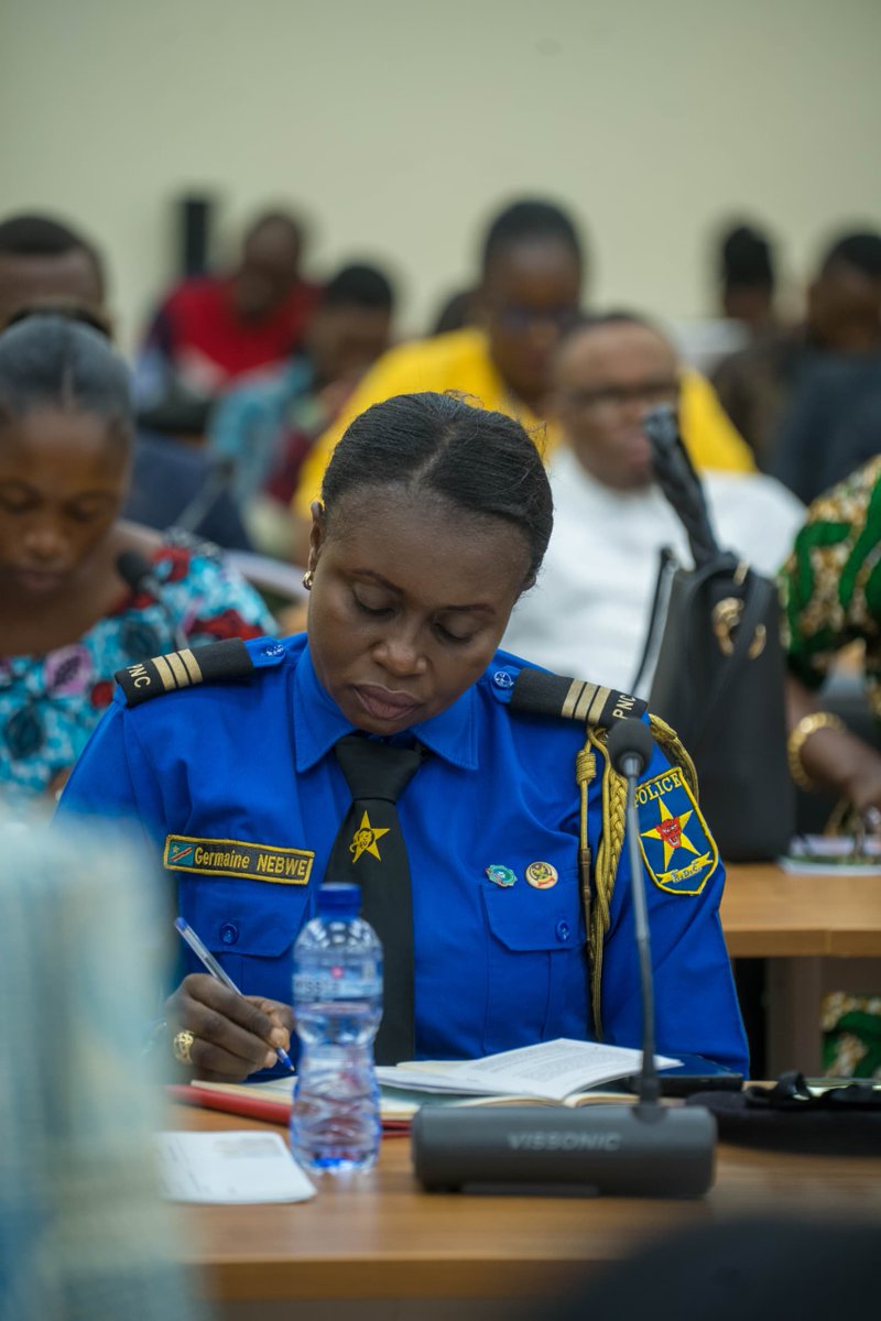 UN Human Rights DRC tweet media