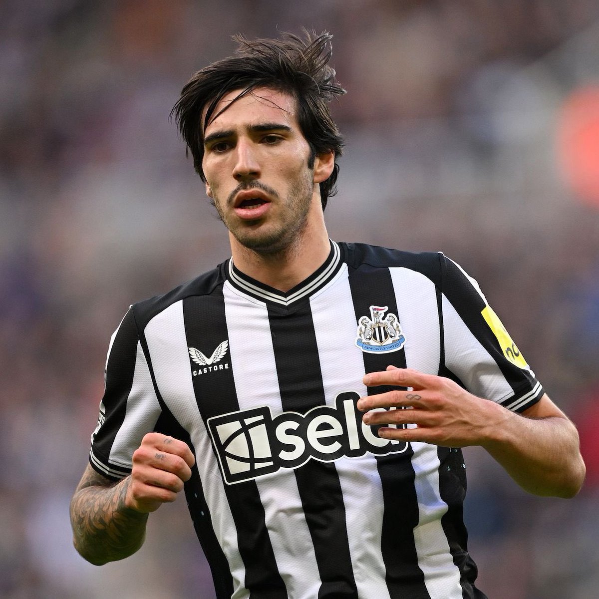 United Update tweet media