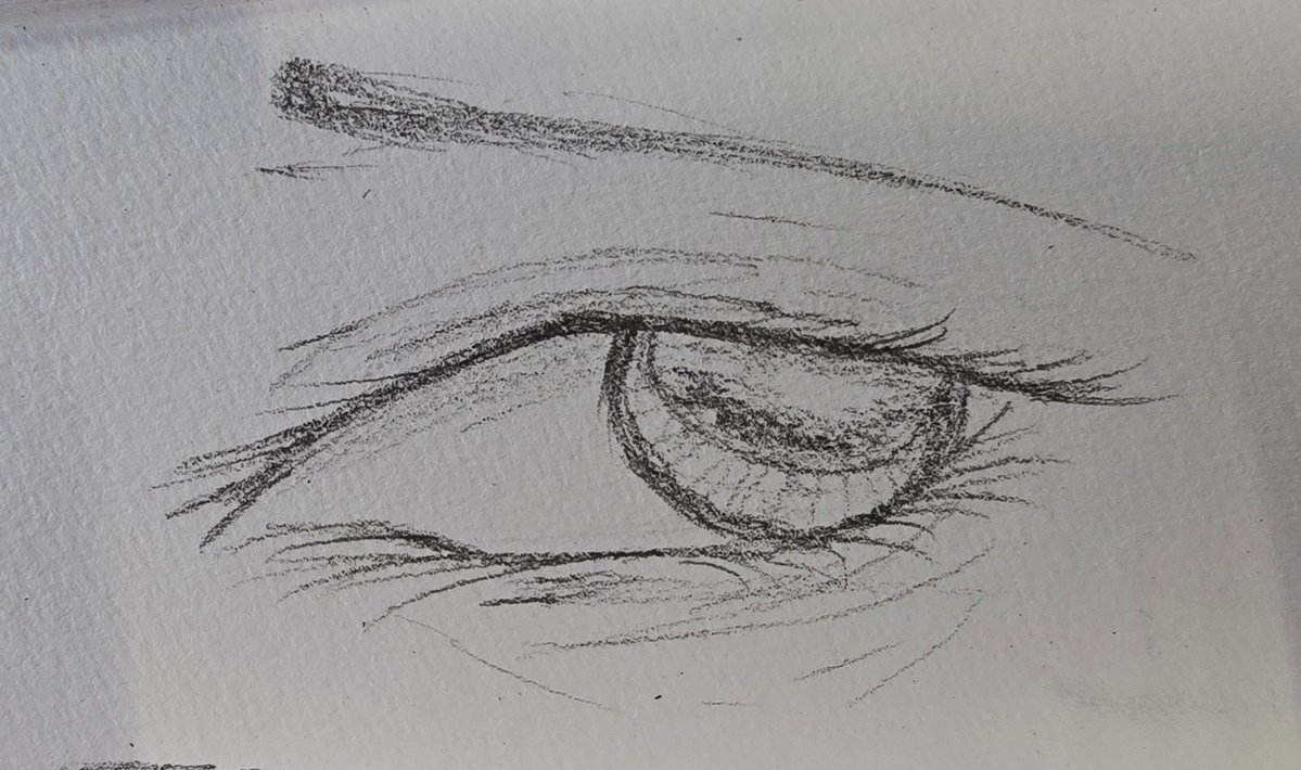 ☆ •Astra• ☆ tweet media