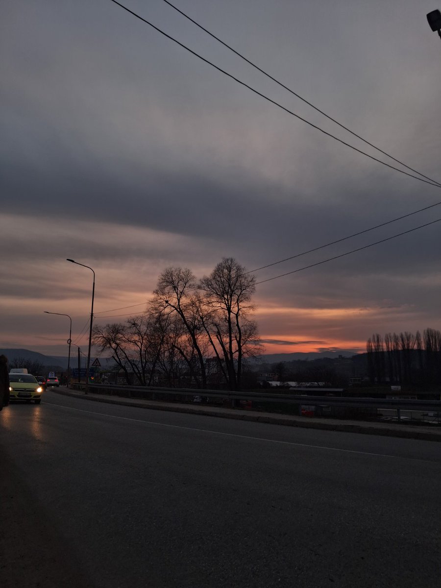 Losmi 🐬 tweet media