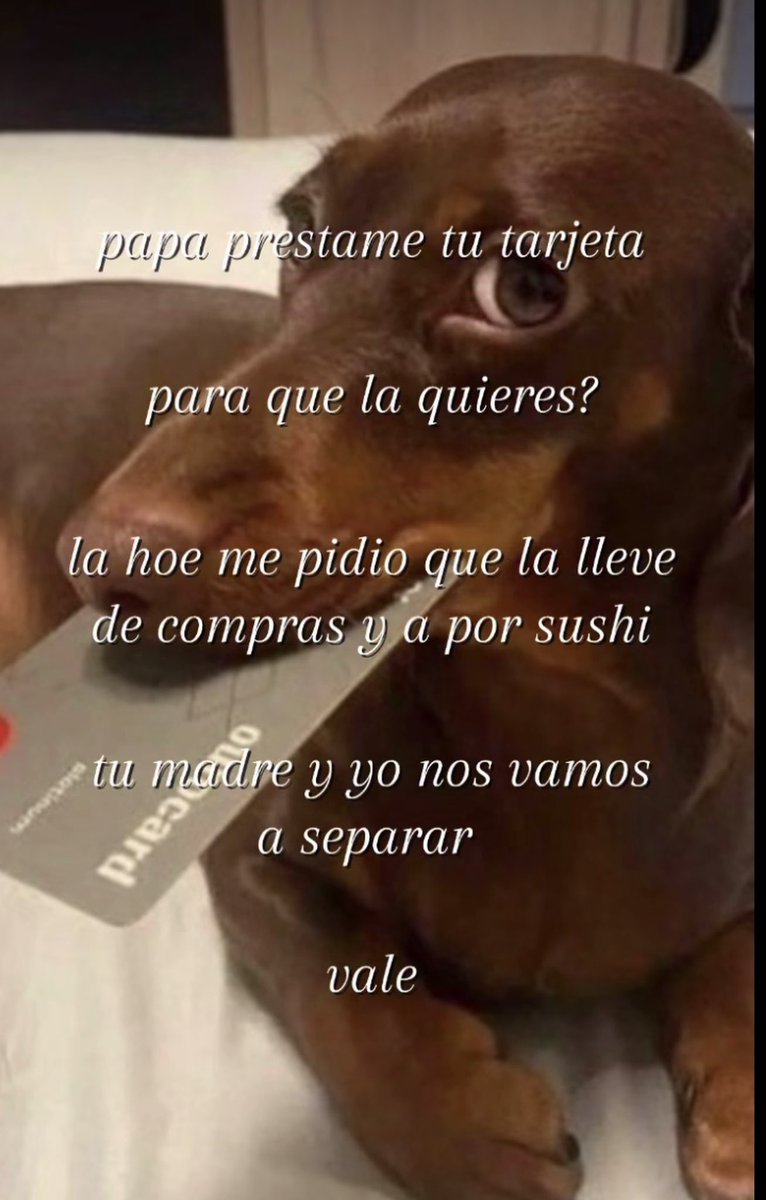 Distrito Reforged tweet media