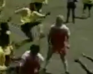 Mr Castolo #9 tweet media