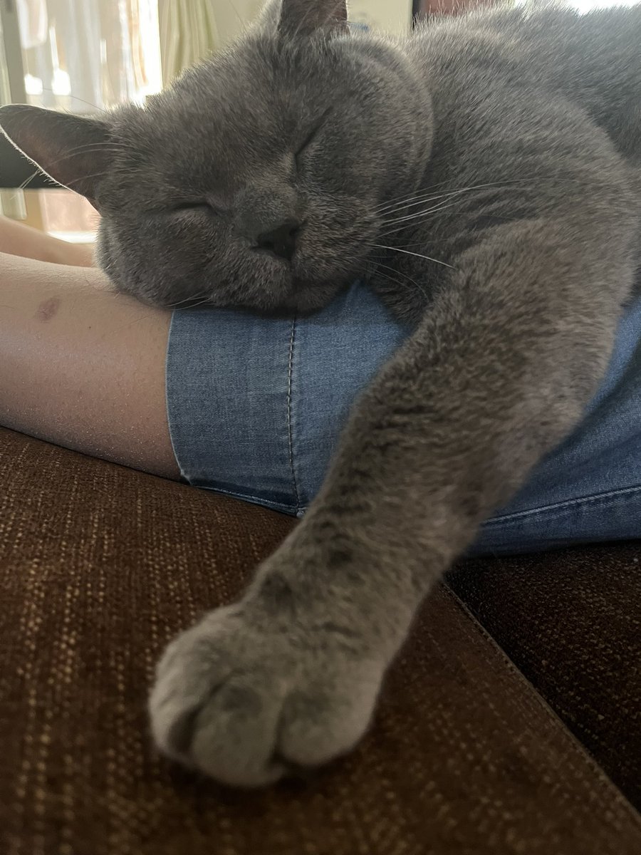 kura nori tweet media