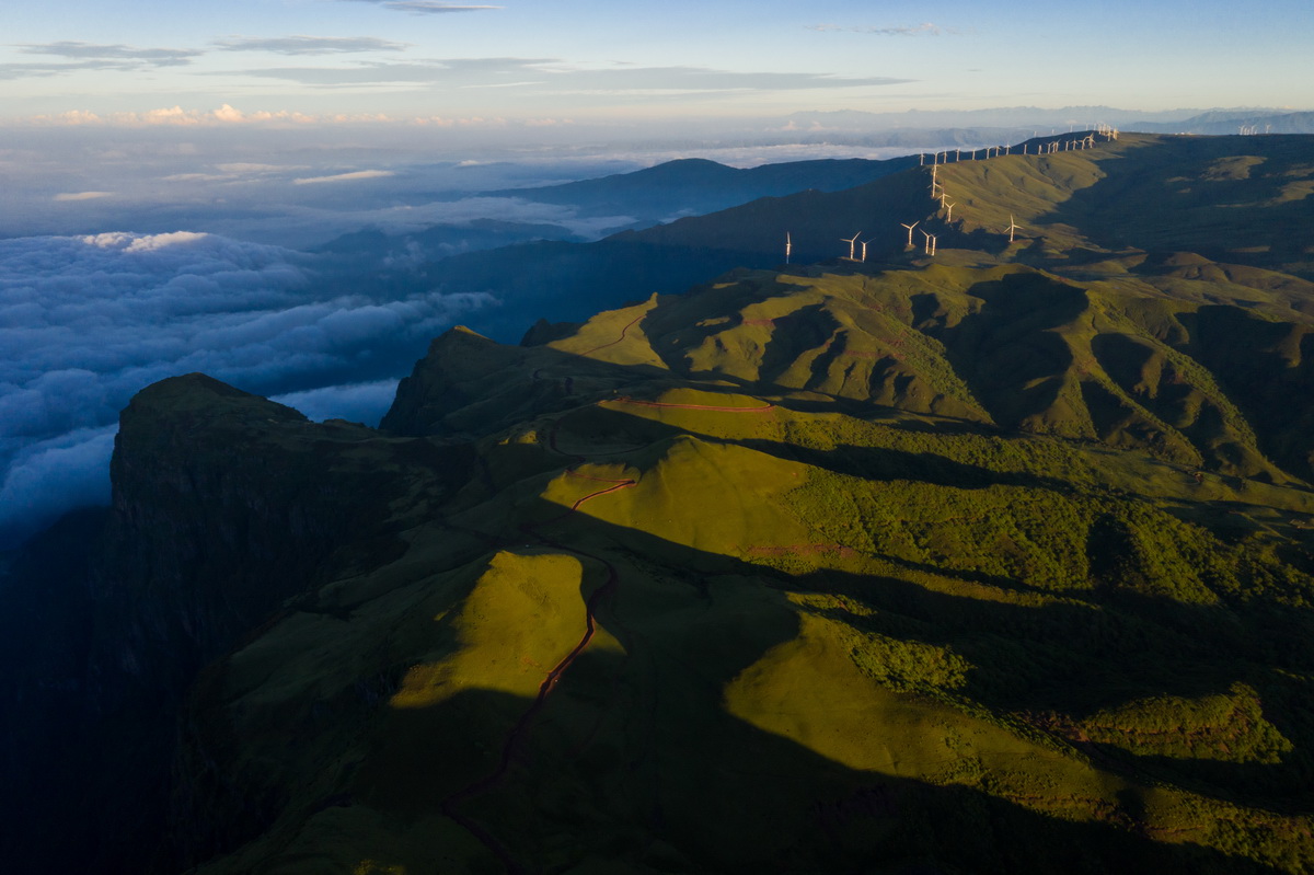 CryptoLuna77 tweet media