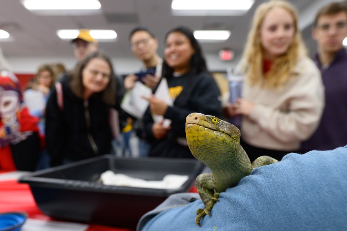 NC State University tweet media