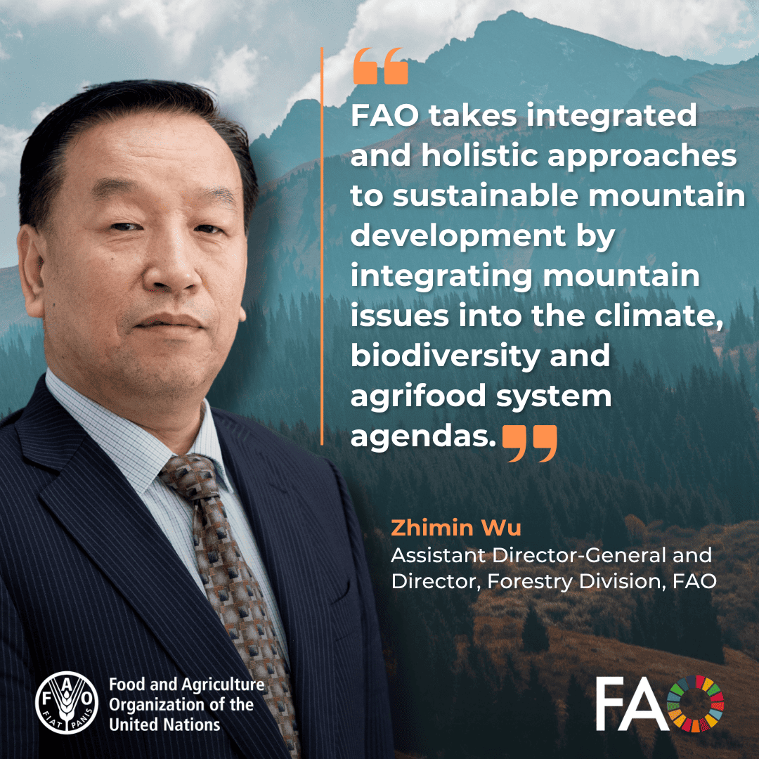 FAO Forestry tweet media